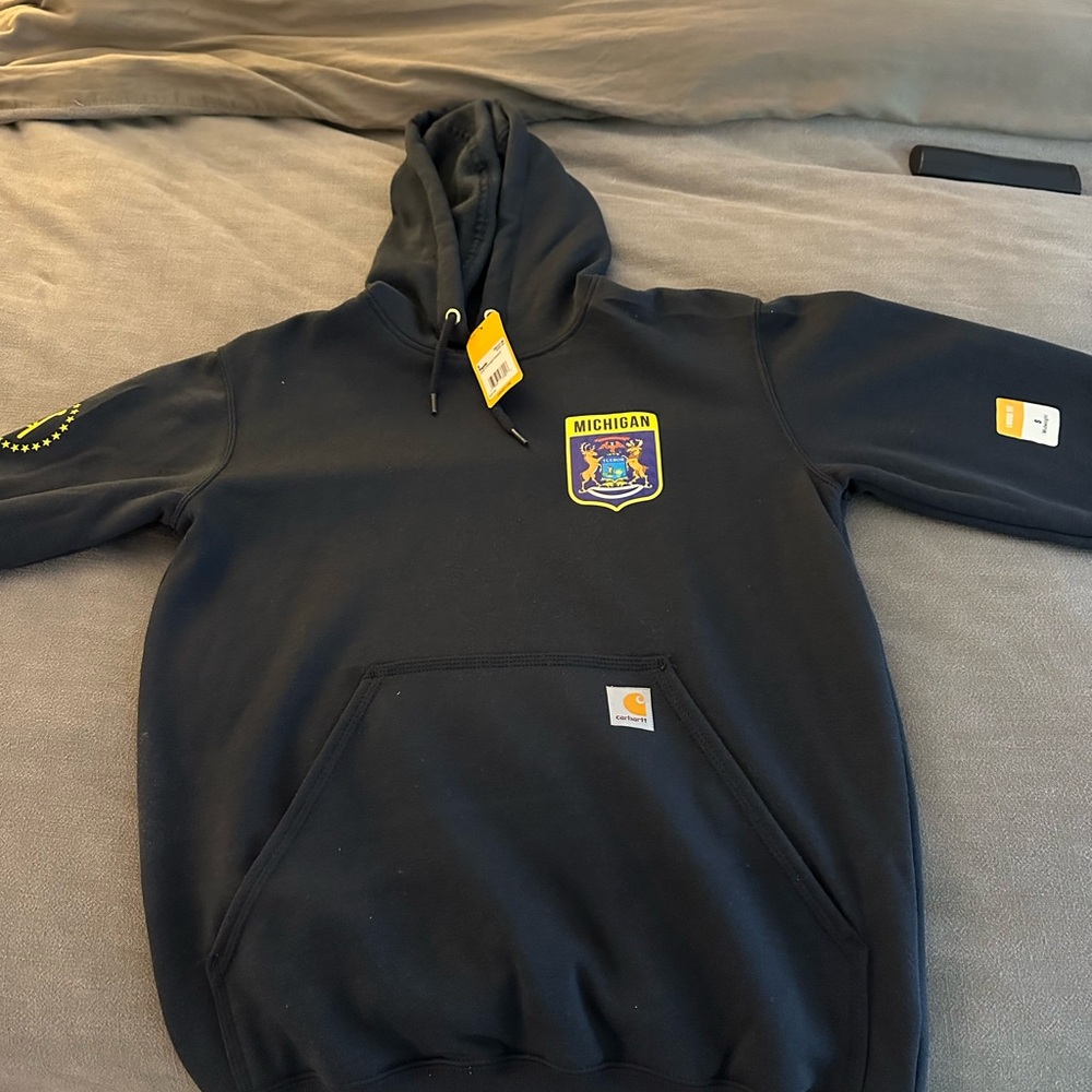 Carhartt Loose Fit Midweight Hoody Michigan
